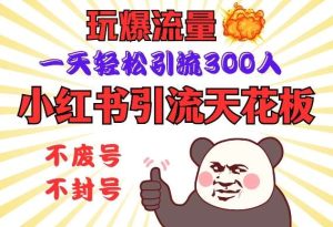 小红书引流天花板，玩爆流量，一天轻松引流300人，安全操作-旺仔资源库