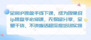 全案IP操盘手线下课,成为现象级ip操盘手必修课,无保留分享,全是干货,不讲废话超深度培训实操-旺仔资源库