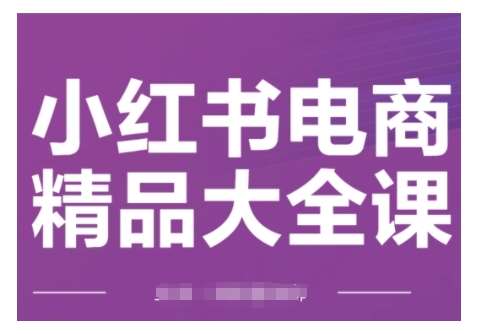 小红书电商精品大全课，快速掌握小红书运营技巧，实现精准引流与爆单目标，轻松玩转小红书电商-旺仔资源库