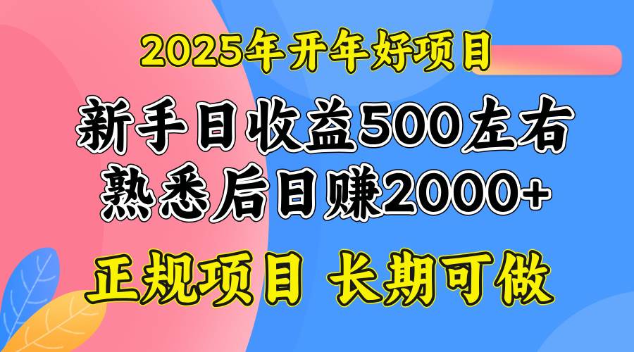 （14076期）2025开年好项目，单号日收益2000左右-旺仔资源库