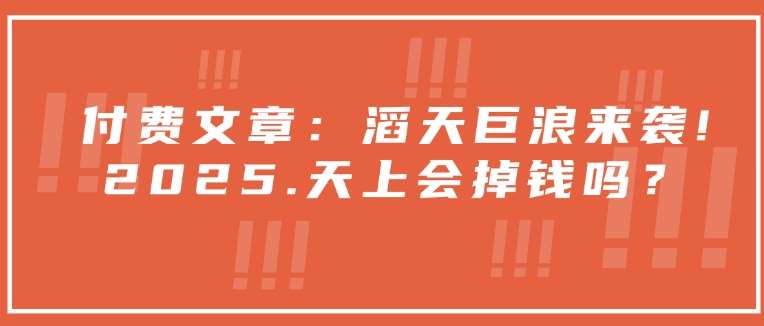 付费文章：滔天巨浪来袭！2025天上会掉钱吗？-旺仔资源库