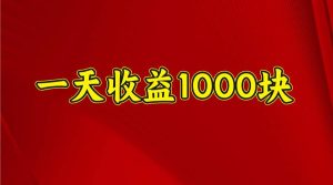 一天收益1000块，2025全网首发-旺仔资源库