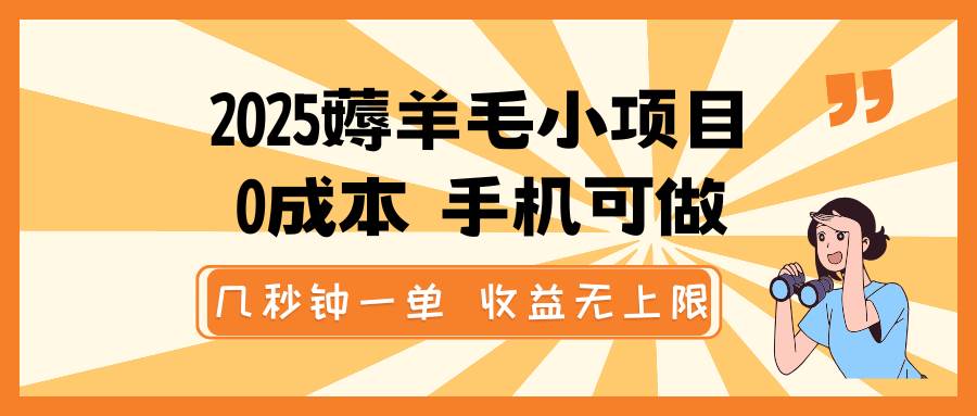 2025薅羊毛小项目，0成本 手机可做，几秒钟一单，收益无上限-旺仔资源库