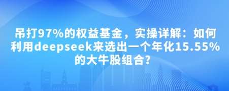 付费文章：吊打97%的权益基金，实操详解：如何利用deepseek来选出一个年化15.55%的大牛股组合?-旺仔资源库