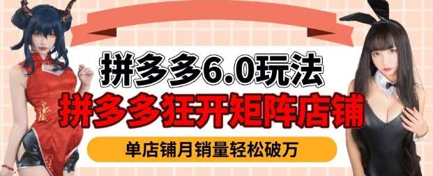 拼多多虚拟商品暴利6.0玩法，轻松实现月入过W-旺仔资源库