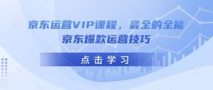 京东运营VIP课程，最全的全能京东爆款运营技巧-旺仔资源库