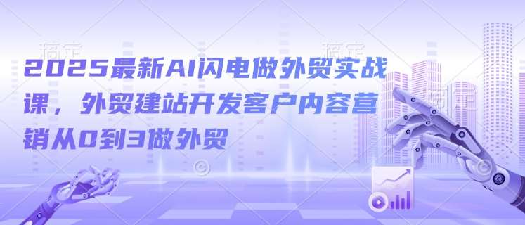 2025最新AI闪电做外贸实战课，外贸建站开发客户内容营销从0到3做外贸-旺仔资源库