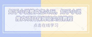 知乎小说推文怎么玩，知乎小说推文项目保姆级实战教程-旺仔资源库