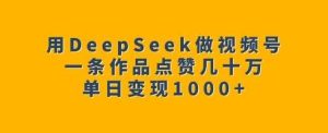 用DeepSeek做视频号，一条作品点赞几十万，单日变现1k-旺仔资源库
