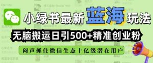 小绿书无脑搬运引流，全自动日引500精准创业粉，微信生态内又一个闷声发财的机会-旺仔资源库