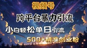 跨平台暴力引流，私域完美闭环，日引500+精准创业粉-旺仔资源库