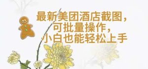 【轻云】最新美团酒店截图，可批量操作，小白也能轻松上手-旺仔资源库