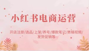 小红书电商运营：开店注册/选品/上架/养号/爆款笔记/剪辑视频/发货促销等-旺仔资源库