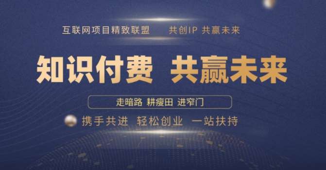 别人苦寻无果，为何他们靠知识付费卖项目 2025 年轻松年入100个?【揭秘】-旺仔资源库