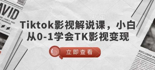 TikTok影视解说课，小白从0-1学会TK影视变现-旺仔资源库