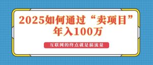（14181期）2025年如何通过“卖项目”实现100万收益：最具潜力的盈利模式解析-旺仔资源库