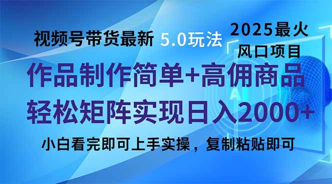 （14191期）视频号带货最新5.0玩法，作品制作简单，当天起号，复制粘贴，轻松矩阵…-旺仔资源库