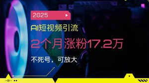 （14213期）2025AI短视频引流，2个月涨粉17.2万，不死号，可放大-旺仔资源库