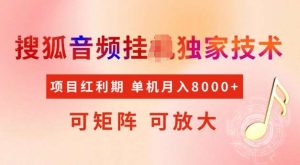 首发搜狐音频挂JI，项目红利期，可矩阵可放大，稳定月入5k【揭秘】-旺仔资源库