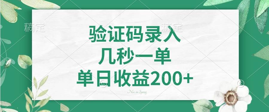 （14221期）验证码录入，几秒一单，单日收益200+-旺仔资源库