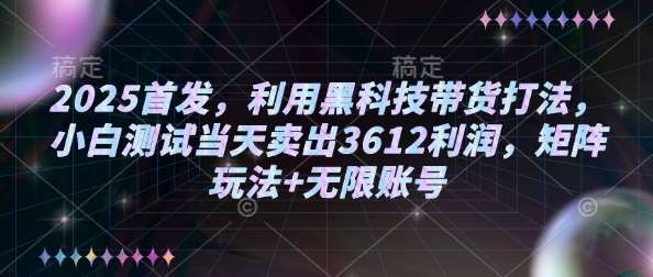 2025首发，利用黑科技带货打法，小白测试当天卖出3612利润，矩阵玩法+无限账号【揭秘】-旺仔资源库