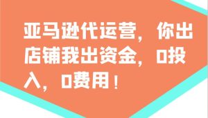 亚马逊代运营，你出店铺我出资金，0投入，0费用，无责任每天300分红，赢亏我承担-旺仔资源库