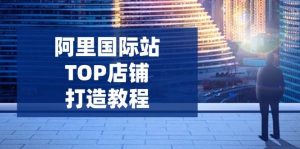 （14269期）阿里国际站TOP店铺打造教程：涵盖平台到高阶，解决运营难题，提升询盘-旺仔资源库