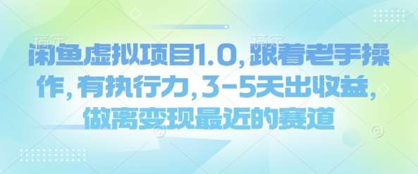闲鱼虚拟项目1.0，跟着老手操作，有执行力，3-5天出收益，做离变现最近的赛道-旺仔资源库