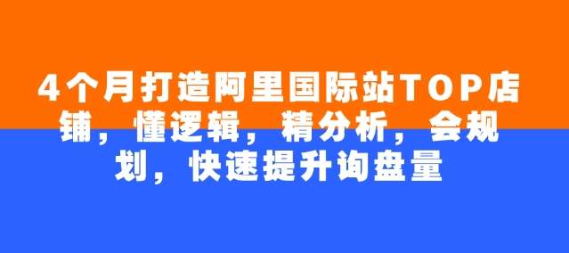 4个月打造阿里国际站TOP店铺，懂逻辑，精分析，会规划，快速提升询盘量-旺仔资源库