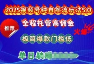 2025视频号纯自然流玩法5.0，全程托管高佣金，极简爆款门槛低，单日收益多张【揭秘】-旺仔资源库