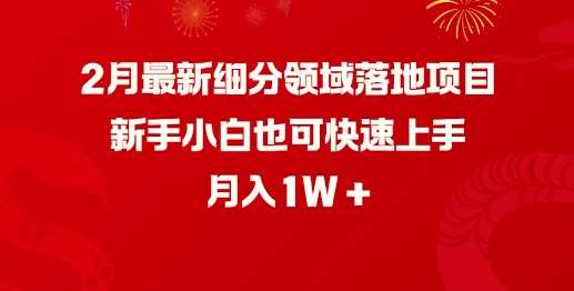 2月最新细分领域落地项目，新手小白也可快速上手，月入1W-旺仔资源库