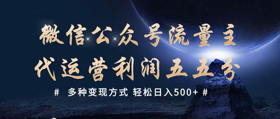 公众号流量主代运营  多种变现方式 轻松日入500+-旺仔资源库