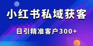 （14304期）2025最新小红书平台引流获客截流自热玩法讲解，日引精准客户300+-旺仔资源库