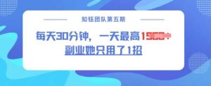 副业她只用了1招,每天30分钟,无脑二创,一天最高1.5k-旺仔资源库