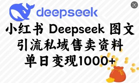 小红书Deepseek图文引流私域售卖资料，单日变现多张-旺仔资源库