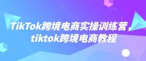 TikTok跨境电商实操训练营，tiktok跨境电商教程-旺仔资源库