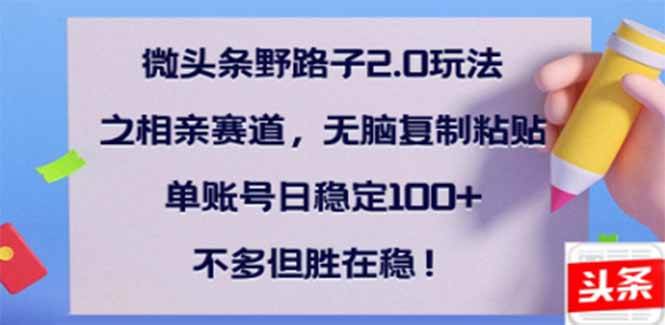 （14334期）微头条野路子2.0玩法之相亲赛道，无脑搬砖复制粘贴，单账号日稳定300+…-旺仔资源库