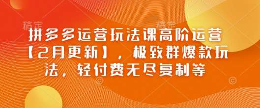 拼多多运营玩法课高阶运营【2月更新】，极致群爆款玩法，轻付费无尽复制等-旺仔资源库