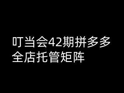 叮当会拼多多打爆班原创高阶技术第42期，拼多多全店托管矩阵-旺仔资源库
