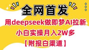 用deepseek做即梦Ai拉新 小白实操月入过W+【附报白渠道】-旺仔资源库