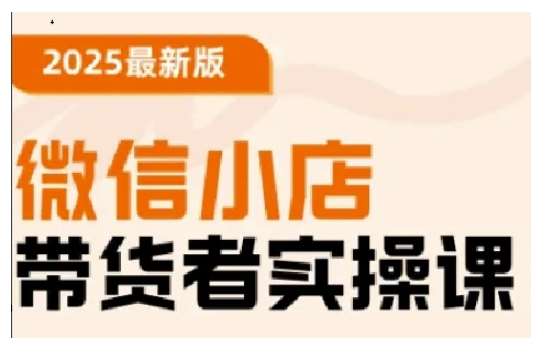 2025最新版微信小店带货者实操课，基础操作到高级运营技巧，快速上手-旺仔资源库