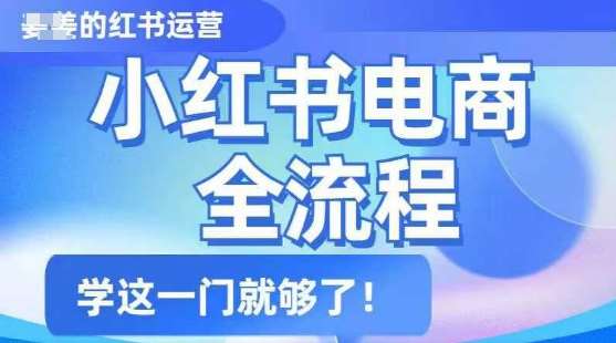 小红书电商全流程，精简易懂，从入门到精通，学这一门就够了-旺仔资源库