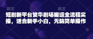 短剧新平台繁华剧场搬运全流程实操，适合新手小白，无脑简单操作-旺仔资源库