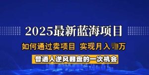 2025蓝海项目，普通人如何通过卖项目，实现月入过W，全过程【揭秘】-旺仔资源库