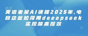 天诺老吴AI课程2025年，电商企业如何用deeepseek实现降本提效-旺仔资源库