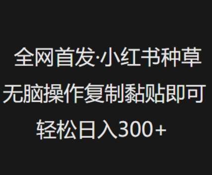 全网首发，小红书种草无脑操作，复制黏贴即可，轻松日入3张-旺仔资源库