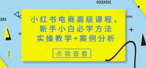 小红书电商高级课程，新手小白必学方法，实操教学+案例分析-旺仔资源库