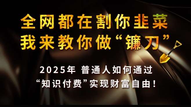 全网都在割你韭菜，我来教你做镰刀,2025普通人如何通过知识付费，实现财F自由【揭秘】-旺仔资源库