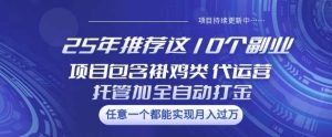 25年推荐这10个副业项目包含褂鸡类、代运营托管类、全自动打金类【揭秘】-旺仔资源库