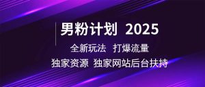 男粉计划2025  全新玩法打爆流量 独立网站 独立资源后台扶持-旺仔资源库